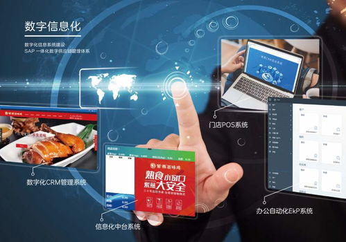 數智賦能，全球布局 紫燕食品駛入高質量發展快車道